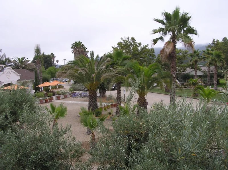 Spa building, cottages and grounds at Indian Springs Calistoga in 2010