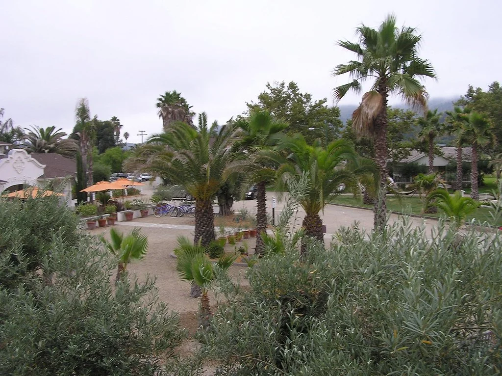 Spa building, cottages and grounds at Indian Springs Calistoga in 2010
