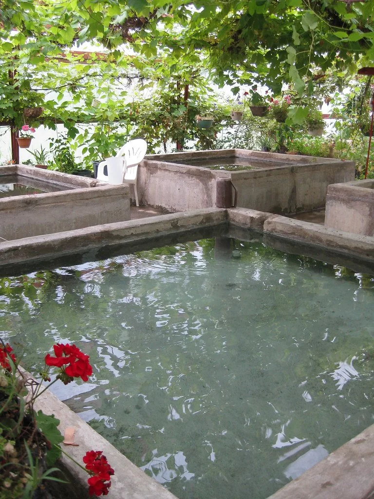 Concrete soaking baths among greenhouse plants at Manley Hot Springs in 2011