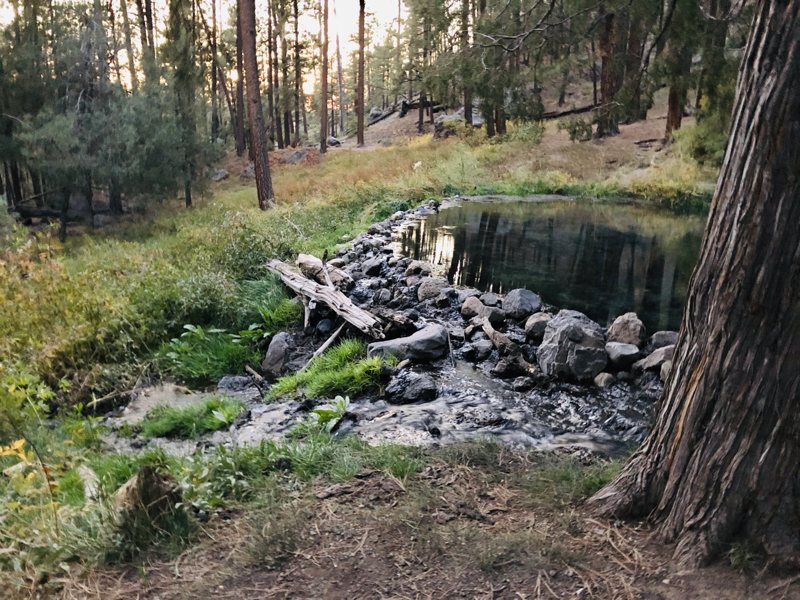 Rock-lined McCauley Warm Springs pool in the forest (archive photograph)