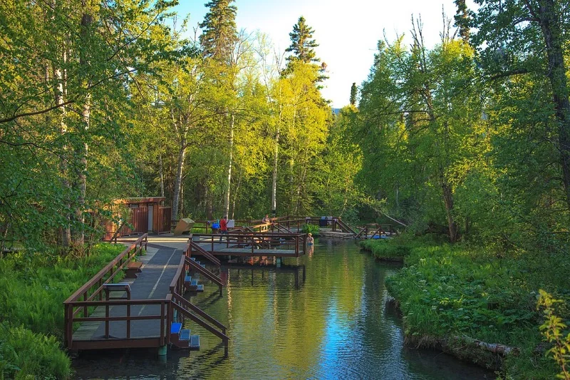 The natural bathing area at Liard River Hot Springs