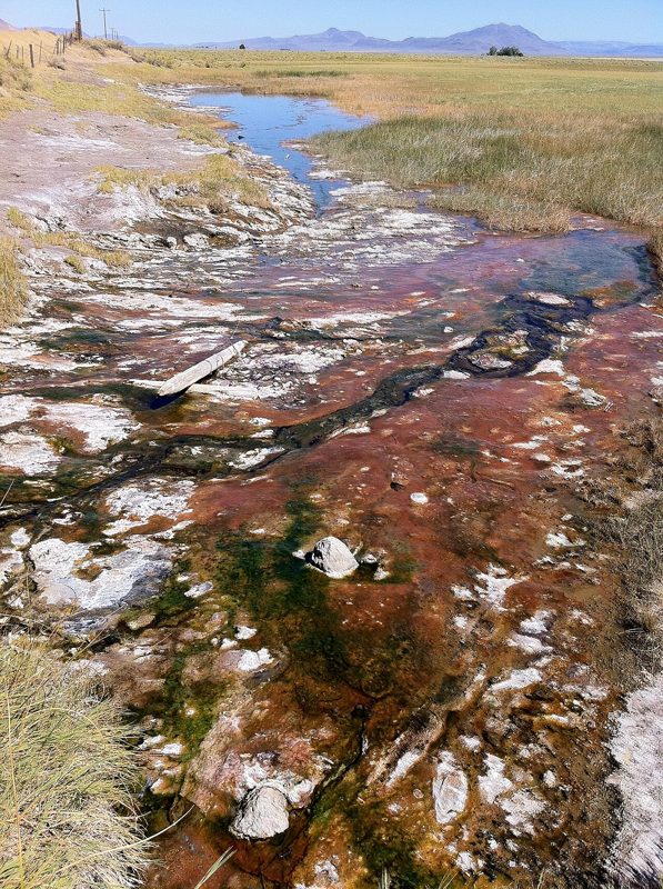 Mineral-coloured thermal runoff at Alvord Hot Springs (archive photograph)